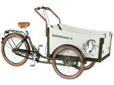 Bakfietsweb tricycle vélo cargo hub 7speed vert