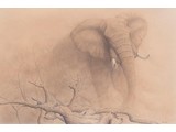 African Dust - WNF Edition (135 x 95 cm)