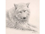Wolf portret (25 x 25 cm)