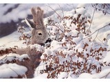 A winter tale (70 x 50 cm)
