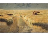 Grote bruine beer (67 x 45 cm)