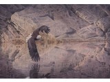 Reflection touch (97 x 67 cm)