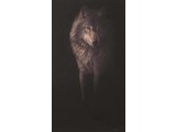 Shadow wolf (50 x 97 cm)