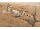 Save the tiger (90 x 60 cm)