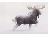 Snowfall Moose (90 x 60 cm)
