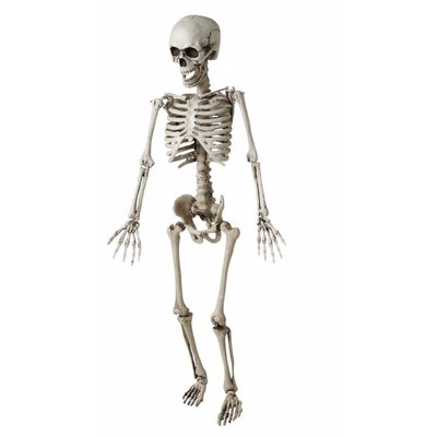 Kinder skelet als Halloween horror decoratie