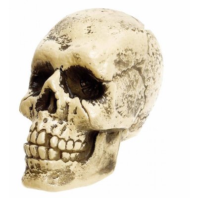 Levensgrote nep schedel als Halloween decoratie