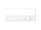 Evolved Novelties