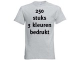 Fruit of the Loom Grijs 250 stuks 3 kleuren bedrukt