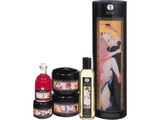 ♥ DINOS SEXTOYS EUROPE ♥ Carnal Pleasures Collectie (het ultieme verwenpakket van Shunga)
