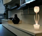Myyour Tulip S met verlichting Myyour Tulip S met verlichting