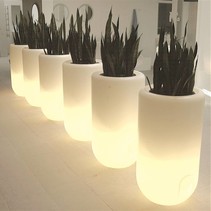 Verlichte Bloempotten in Alle Soorten en Maten! | DesignPOTshop.be Verlichte Bloempotten in Alle Soorten en Maten! | DesignPOTshop.be