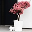 Elho Pure Straight Round - Un pot de fleur élégant et moderne avec de belles promotions!