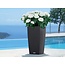 Lechuza Cubico Cottage Flowerpot - modèle élégant compris Lechuza Irrigation