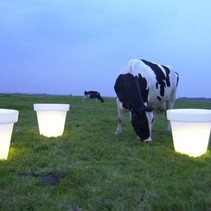 http://static.webshopapp.com/shops/008473/files/172542188/211x211x1/bloempot-60-en-90-cm.jpg