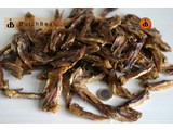 DutchBeau kippenvleugels (chicken wings)