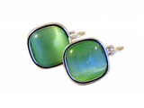 A-zone Mint groene oorbellen | Oorbellen