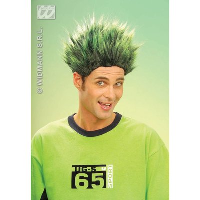 Kleurenpruik Max met schrik haar