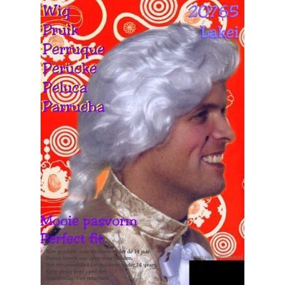 Pruik Rococo man