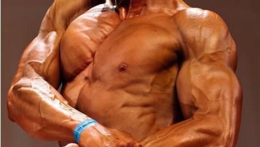 Roy Bakx team Absolute Power