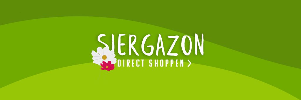 Siergazon graszaad