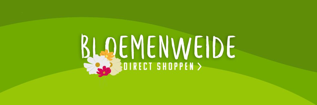 Bloemenweide / Bloemenmengsels