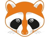 Raccoon Outdoor