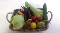 Ambachtelijke streekproducten uit het Rijk van Nijmegen gemaakt van groente en fruit