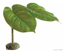 Smartplants Smartplants