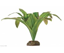 Smartplants Smartplants