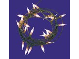 Euromini's Kerstverlichting 24x helder micro kaars 2mm, zonder stekker