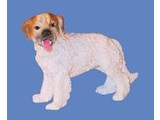 Euromini's Cavelier King Charles Spaniel