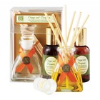 Orange & Evergreen Mini Reed Diffuser Set
