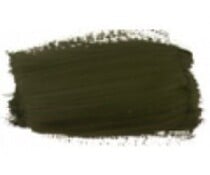 Annie Sloan Olive 14