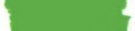 Annie Sloan Antibes Green 29