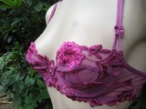 Lise Charmel Beugel bh Maat 70C