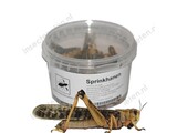 Sprinkhanen 28 gram