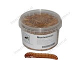 Meelwormen 50gram