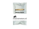 Bamboe wormen