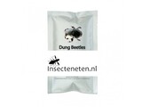 Buffalo Dung Beetles
