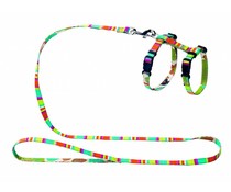 Hunter Puppy Tuigje Stripes Hunter Puppy Tuigje Stripes