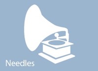 Styli (Needles)