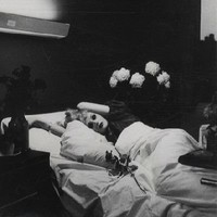 Antony and the Johnsons (ANOHNI )