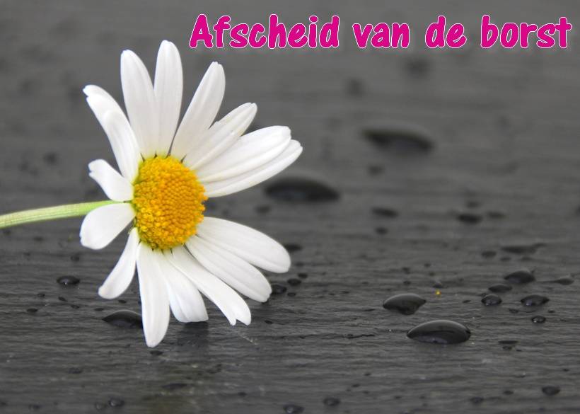 Afscheid van de borst
