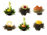 Theebloemen, de sensatie in uw theepot!