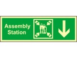 Assembly Station Down