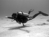 PADI