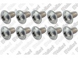 Vaillant Schroef brander 10 stuks 105900