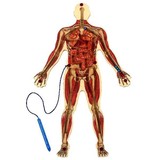 Anatex Doolhof Mens