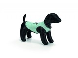 Honden T-shirt Star